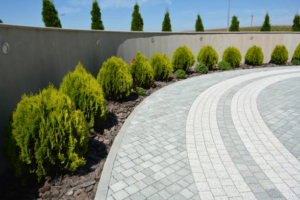 Best Custom Driveway Pavers  in Spring Valley, WI