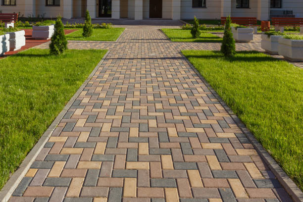 Best Local Driveway Pavers  in Spring Valley, WI